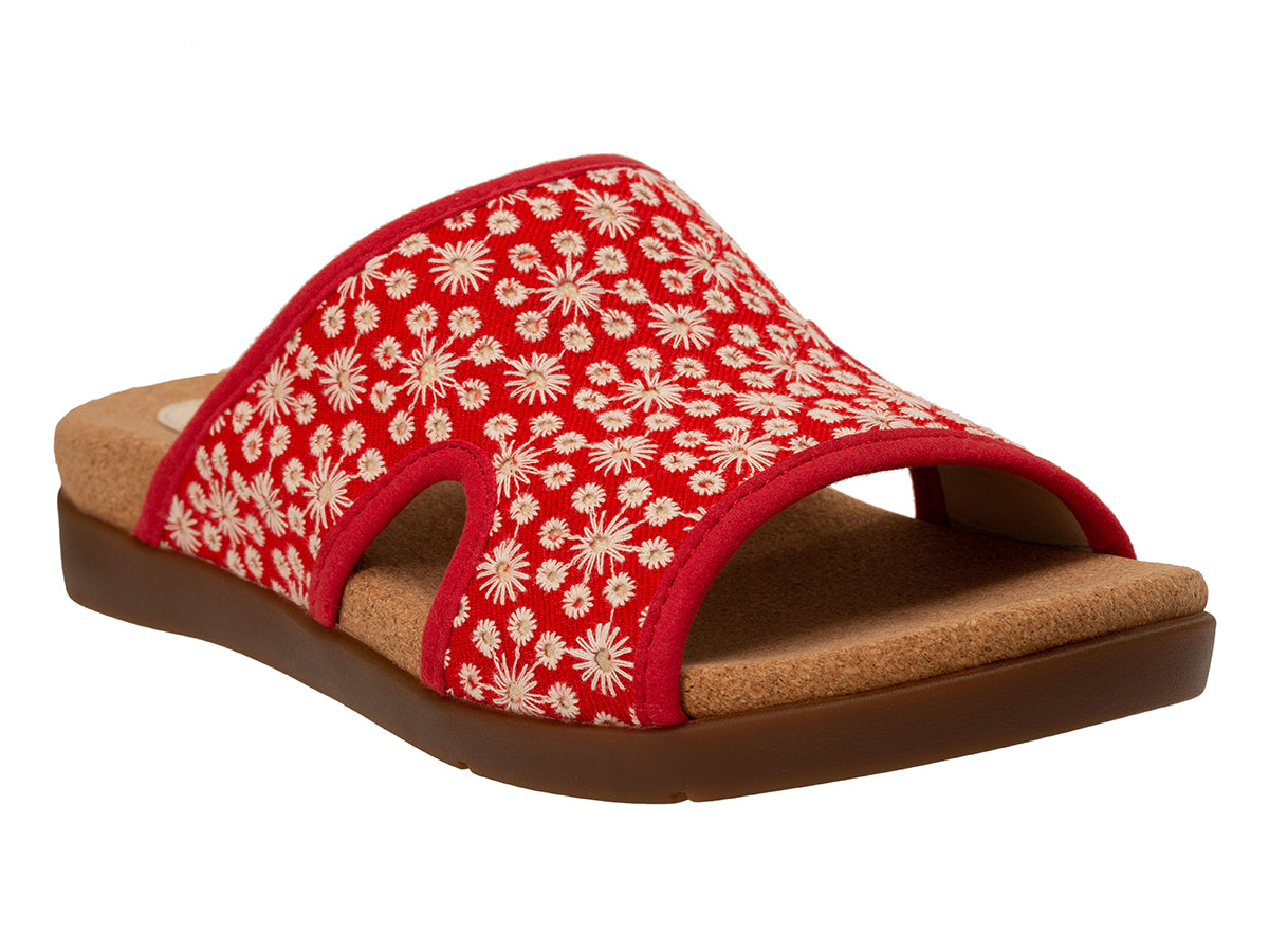 Daisy Slide